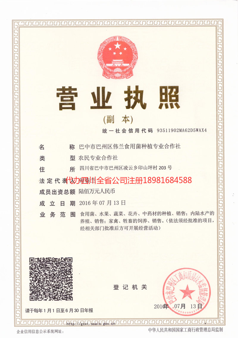 云南云南伟兰食用菌种植专业合作社